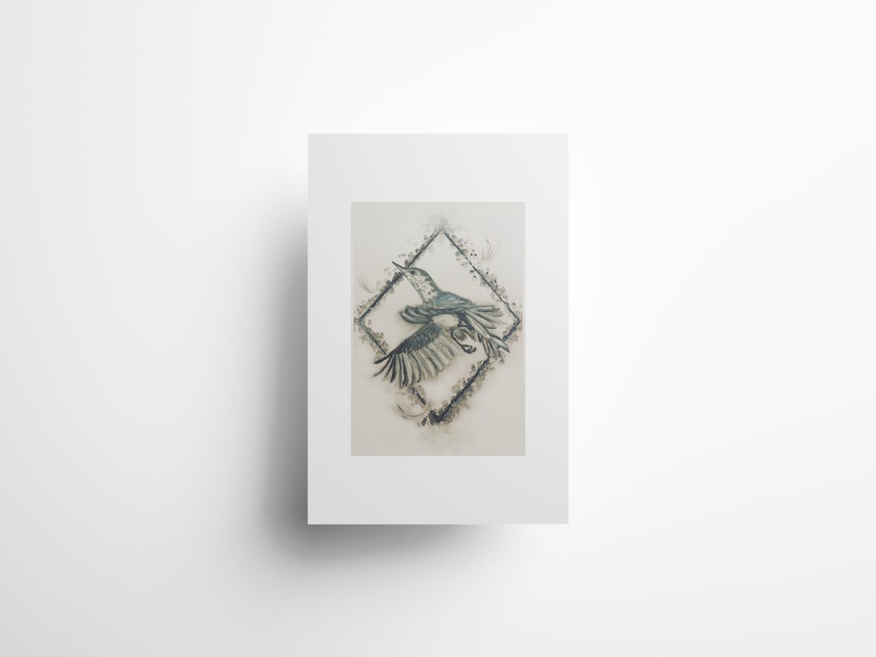 Birdie poster